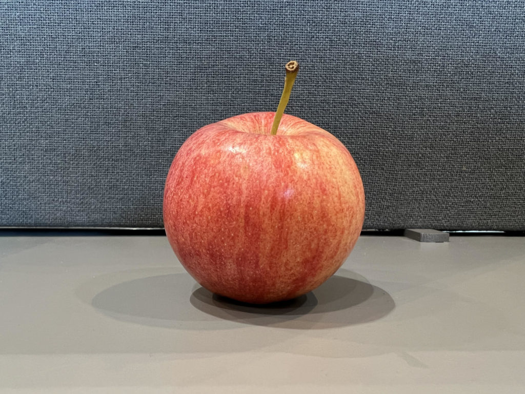 Example of an apple to demonstrate support failure.